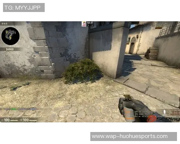 深入剖析BLG在CSGO比赛中的战术运用与技术优势